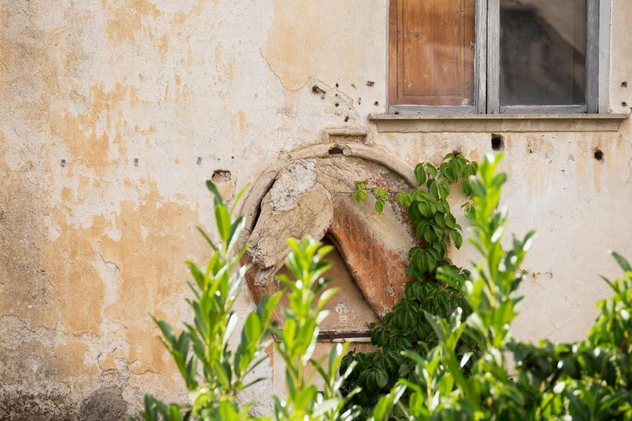 Ferienwohnung Domus Festina Lente Orvieto Exterior foto